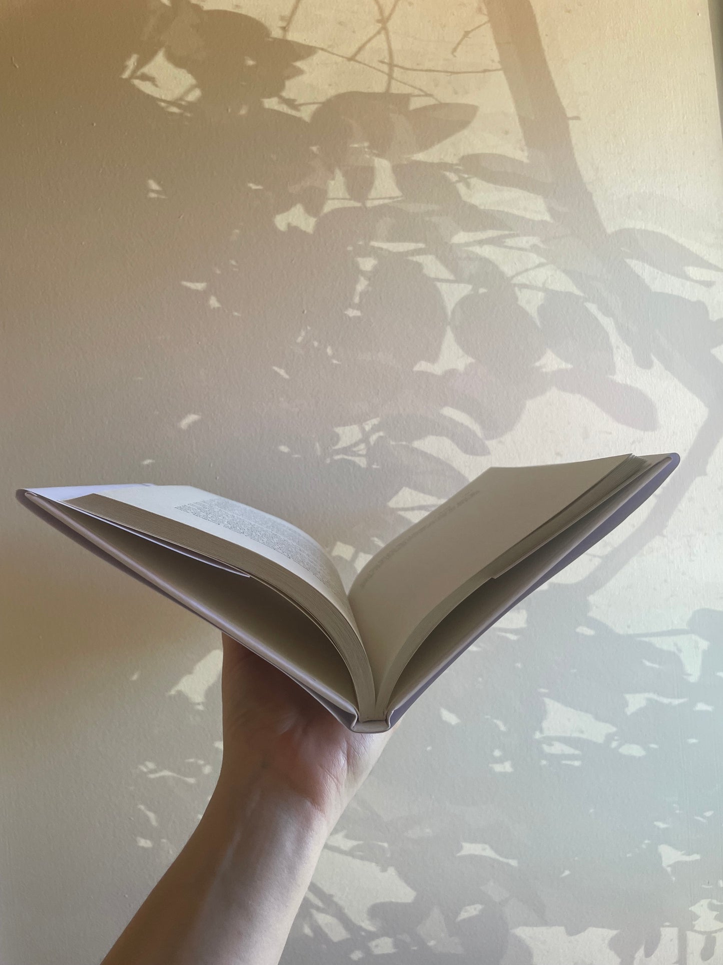 Through Rose Coloured Glasses Hardcover