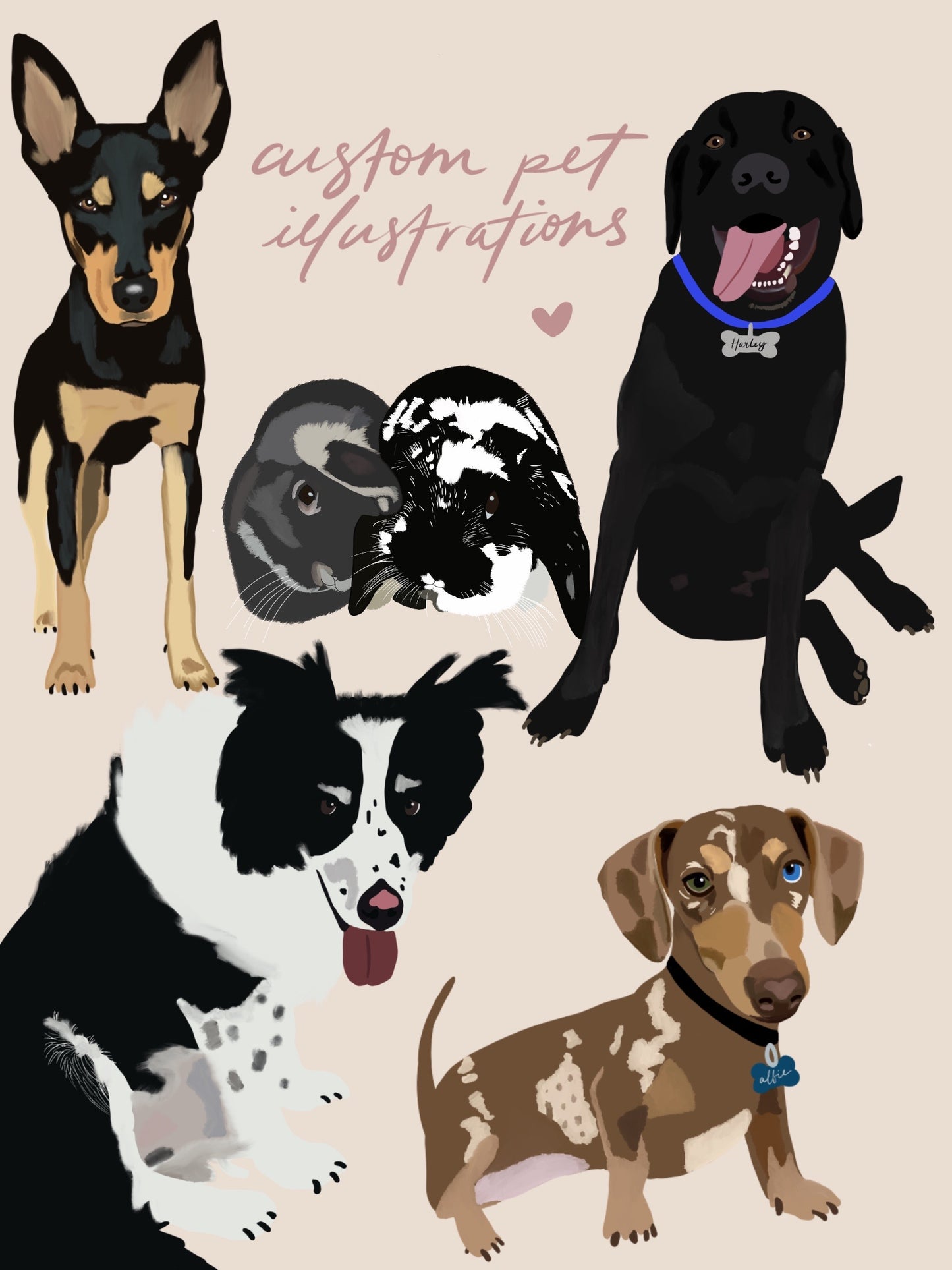 Custom Pet Illustration