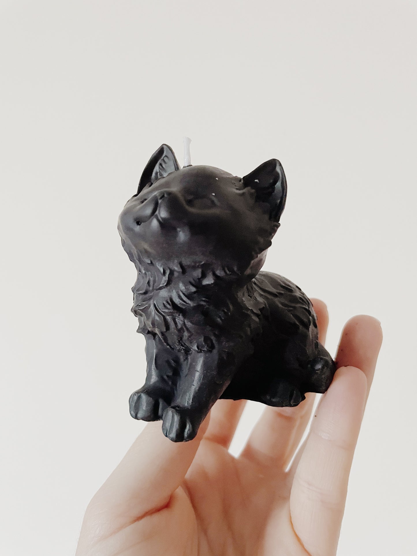 Salem Black Cat Candle