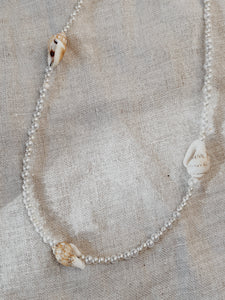 Samudra Shell & Pearl Necklace