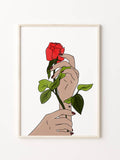 Roses