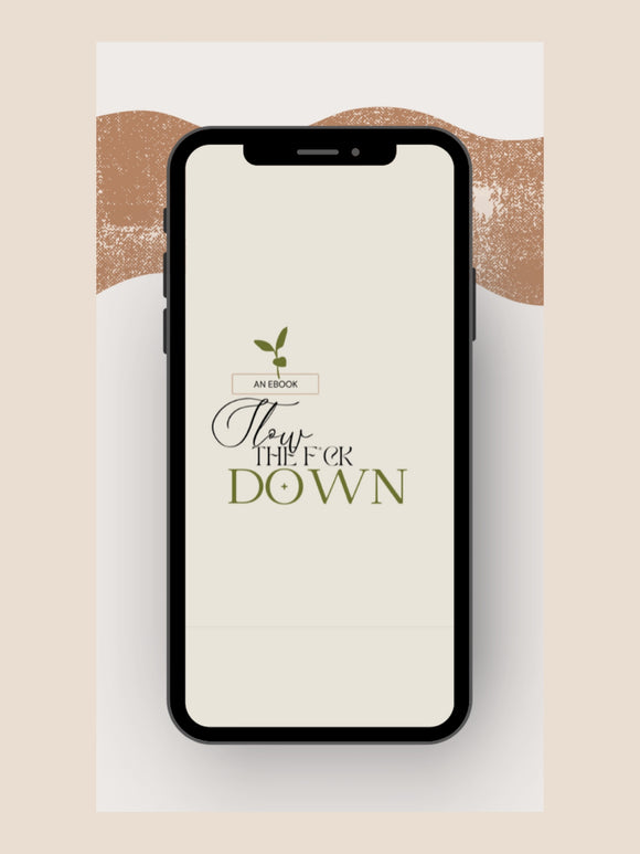 Slow the F Down eBook