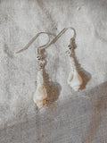 Samudra Shell & Pearl Earrings